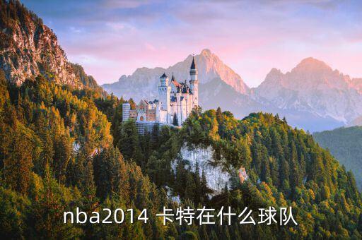 2k16卡特在哪個(gè)隊(duì),我國(guó)男籃球員卡特復(fù)出