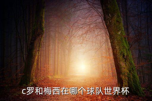 c羅和梅西在哪個(gè)球隊(duì)世界杯