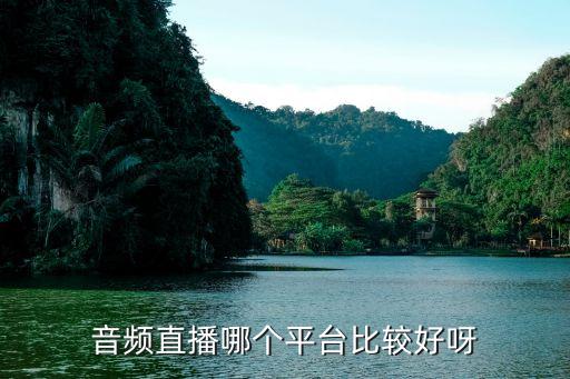 哪個(gè)fm比較好,想做語音主播哪個(gè)平臺(tái)比較好?