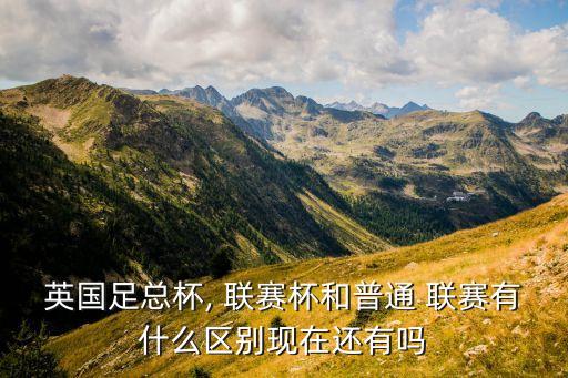 聯(lián)賽和杯賽哪個更,關(guān)于聯(lián)賽和杯賽的五大不同