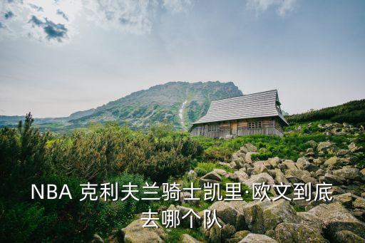 哪個球隊是克利夫蘭的,nba球員樂福洛夫個人簡介