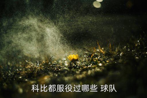  科比都服役過哪些 球隊