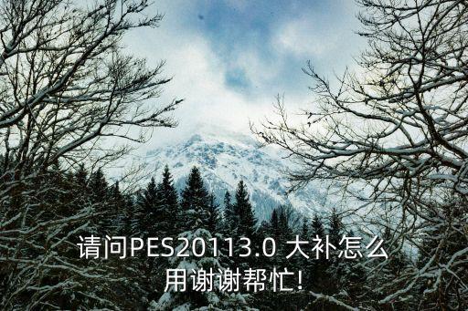 請問PES20113.0 大補怎么用謝謝幫忙!