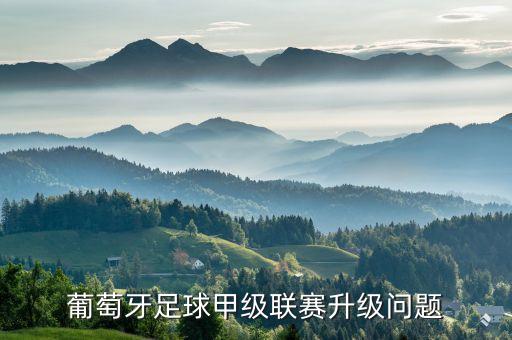葡萄牙足球甲級(jí)聯(lián)賽升級(jí)問(wèn)題