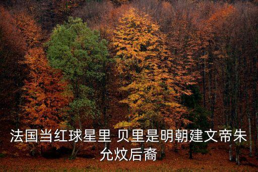 法國當(dāng)紅球星里 貝里是明朝建文帝朱允炆后裔
