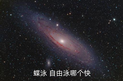  蝶泳 自由泳哪個快