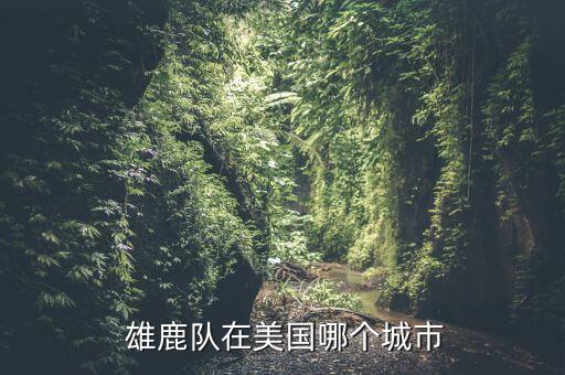 雄鹿隊(duì)哪個隊(duì),密爾沃基雄鹿隊(duì)，nba球隊(duì)之一