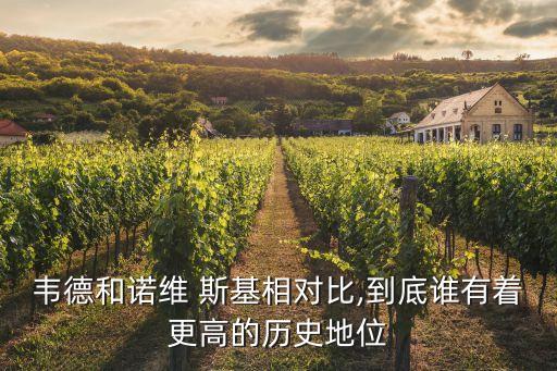 韋德和諾維 斯基相對比,到底誰有著更高的歷史地位