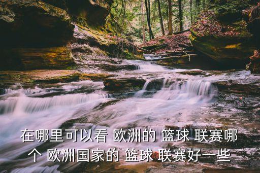 歐洲哪個籃球聯(lián)賽最好,歐洲太注重整體籃球皇馬隊進球最多