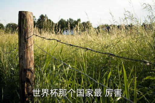 智利vs德國哪個(gè)厲害,我認(rèn)為德國奪冠在于團(tuán)隊(duì)精神