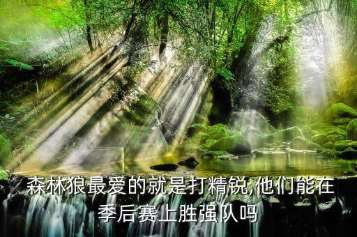  森林狼最愛的就是打精銳,他們能在季后賽上勝?gòu)?qiáng)隊(duì)嗎