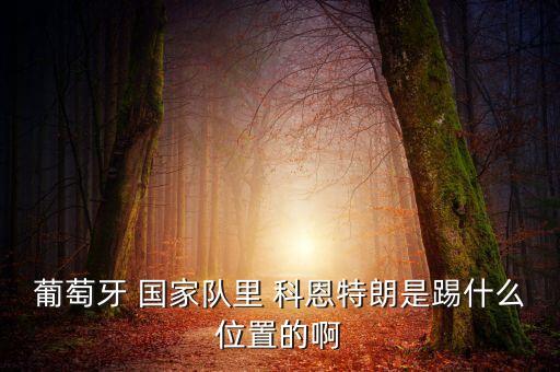 下科恩進步是哪個國家,美國人打賭:馬奔跑時蹄子是否都著地?