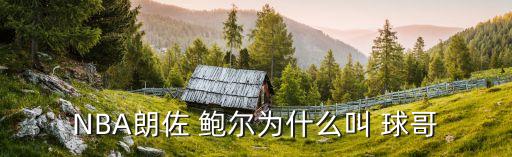 球哥鮑爾哪個隊,中國球迷喊他爸爸美國籃球巨星