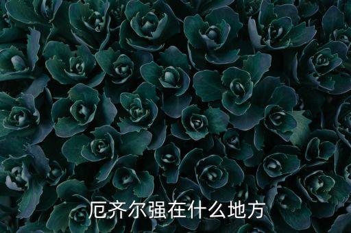 厄齊爾哪個(gè)位置,厄齊爾有望接替齊達(dá)內(nèi)踢中場(chǎng)
