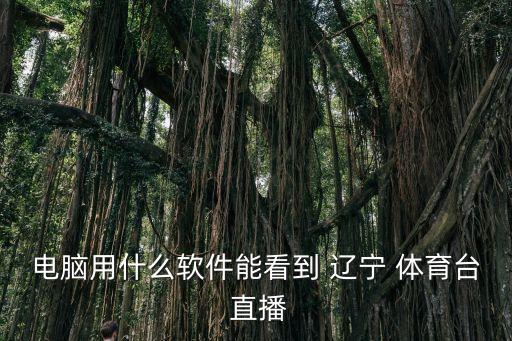 電腦用什么軟件能看到 遼寧 體育臺 直播
