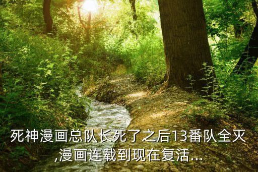 死神漫畫總隊(duì)長死了之后13番隊(duì)全滅,漫畫連載到現(xiàn)在復(fù)活...