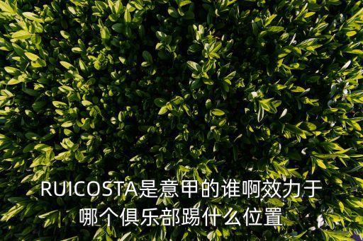 RUICOSTA是意甲的誰(shuí)啊效力于哪個(gè)俱樂部踢什么位置