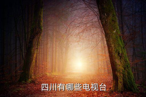 四川FC在哪個臺直播,四川電視臺13個節(jié)目目前有13個頻道