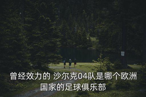 沙爾克在哪個城市,德國奧曲沙爾克球場命名為費(fèi)爾汀格斯球館
