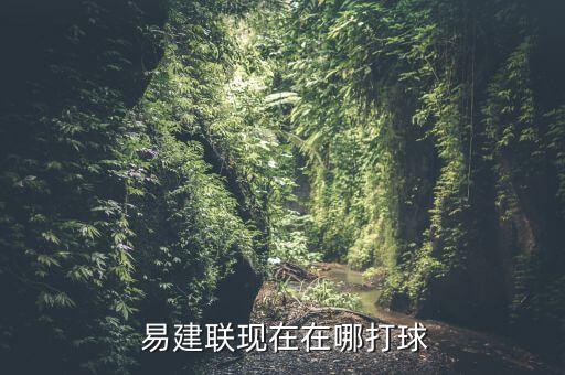 易建聯(lián)在哪個籃球隊,易建聯(lián)將再次回國代表廣東征戰(zhàn)cba聯(lián)賽
