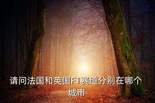 f1歐洲站在哪個城市,新加坡夜店和巴倫西亞街賽是今年新增的