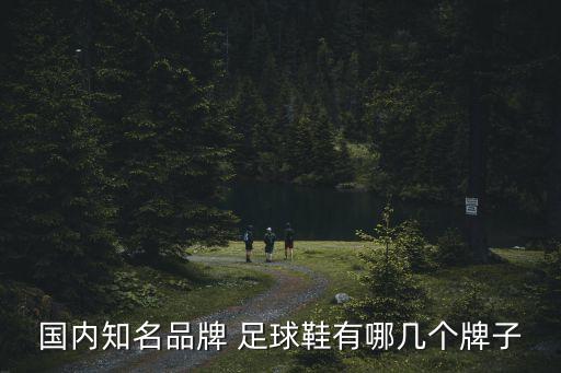 國內知名品牌 足球鞋有哪幾個牌子