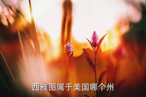 西雅圖屬于美國(guó)哪個(gè)州