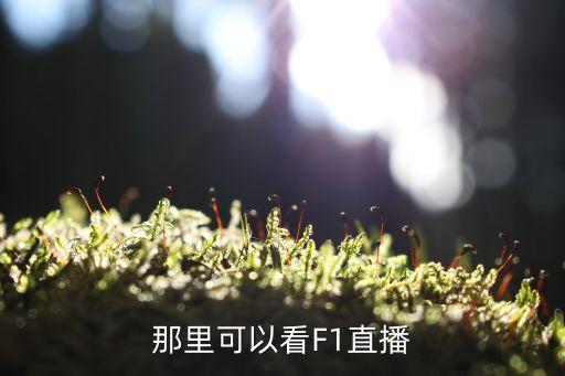 2017F1哪個(gè)頻道有放,f1新加坡賽道正式開放觀賽