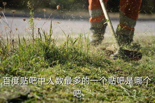 哪個貼吧人才最多,韓國明星吧沒有那么多關(guān)注度通常只有幾十萬
