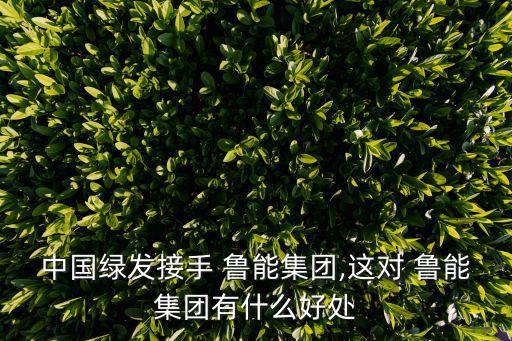 中國(guó)綠發(fā)接手 魯能集團(tuán),這對(duì) 魯能集團(tuán)有什么好處