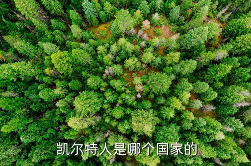  凱爾特人是哪個(gè)國(guó)家的