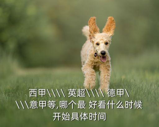 西甲\\\\ 英超\\\\ 德甲\\\\意甲等,哪個(gè)最 好看什么時(shí)候開始具體時(shí)間