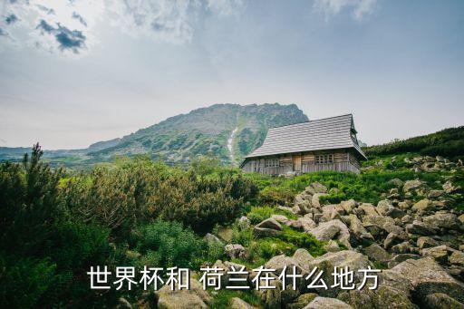 世界杯荷蘭在哪個(gè)小組,世界杯1/4決賽荷蘭與阿根廷互交白卷
