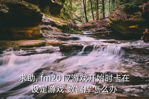 求助, fm2017游戲開(kāi)始時(shí)卡在設(shè)定游戲 數(shù)據(jù)庫(kù)怎么辦
