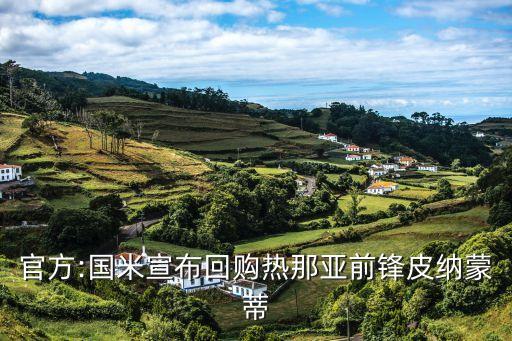 國際米蘭和弗洛西諾內(nèi)哪個(gè)厲害,國際米蘭前鋒皮納蒙蒂回歸