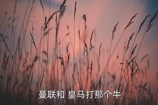  曼聯(lián)和 皇馬打那個(gè)牛