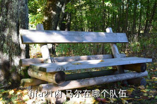 內(nèi)馬爾在哪個隊,巴西國家隊球員nei馬爾轉會巴黎圣日耳曼