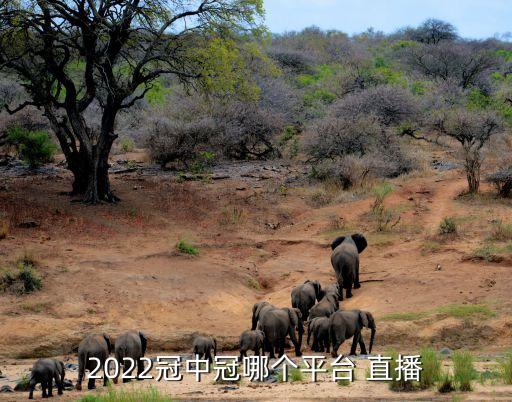 臺球直播 哪個最好,斯諾克錦標賽直播過程如何?