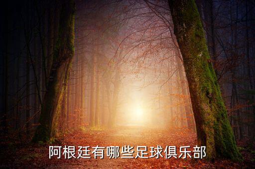 堤格雷是哪個(gè)球隊(duì),阿根廷國(guó)內(nèi)聯(lián)賽最高級(jí)別為甲級(jí)
