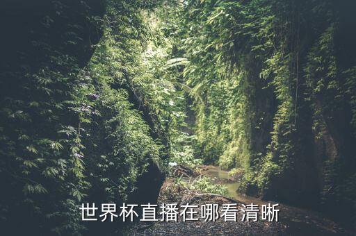 世界杯在哪個臺播,粵語直播粵語解說粵語賽事