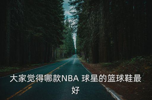 大家覺得哪款NBA 球星的籃球鞋最好