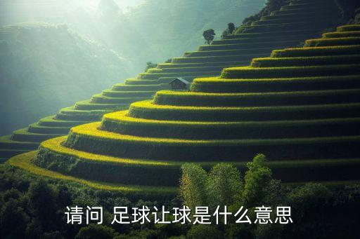 請問 足球讓球是什么意思