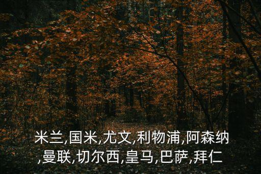 國際米蘭和里昂哪個(gè)好,曼聯(lián)、切爾西成績穩(wěn)定利物浦只踢歐冠杯