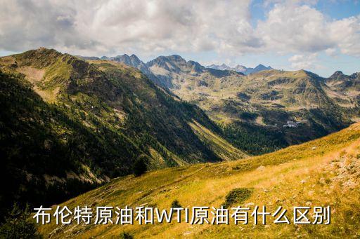 維拉和布倫特哪個強,布倫特原油與wti原油區(qū)別:產(chǎn)地不同
