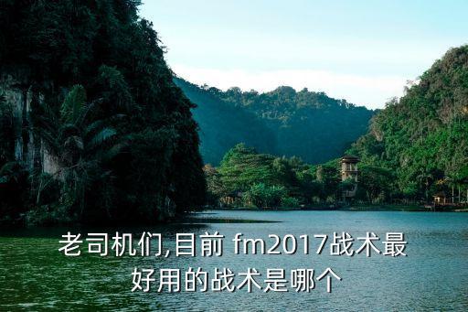 老司機(jī)們,目前 fm2017戰(zhàn)術(shù)最 好用的戰(zhàn)術(shù)是哪個(gè)