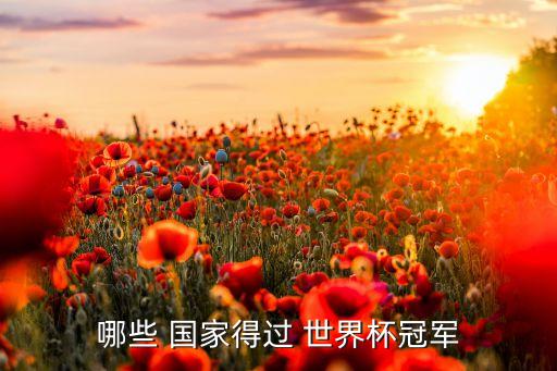 哪個(gè)國(guó)家得過(guò)世界杯,三大世界杯賽事:巴西奪冠德國(guó)奪冠