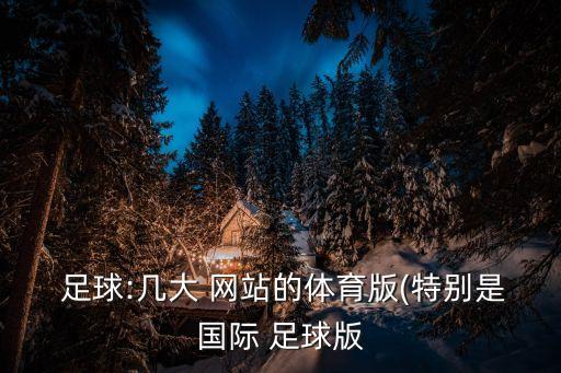  足球:幾大 網(wǎng)站的體育版(特別是國(guó)際 足球版