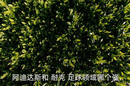 阿迪達(dá)斯和 耐克 足球領(lǐng)域哪個(gè)強(qiáng)