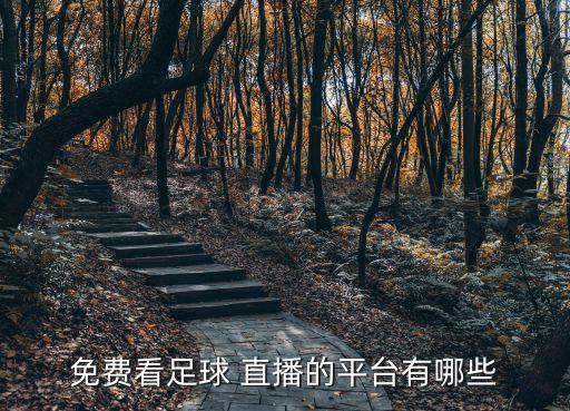 免費(fèi)看足球 直播的平臺(tái)有哪些