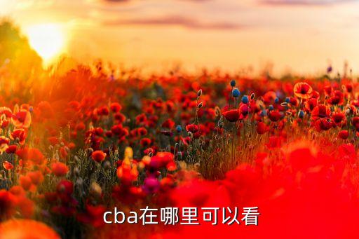 哪個(gè)視頻能看到cba直播,如何在電腦上觀看cba直播?